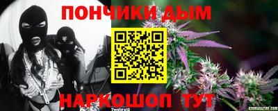 СК Боровичи