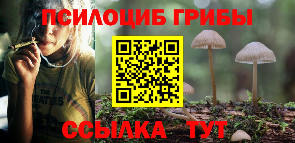 Галлюциногенные грибы мухоморы Вышний Волочёк